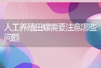 人工养殖田螺需要注意哪些问题