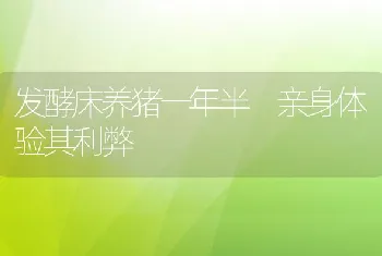 发酵床养猪一年半亲身体验其利弊