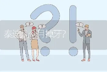 泰迪几个月掉牙？