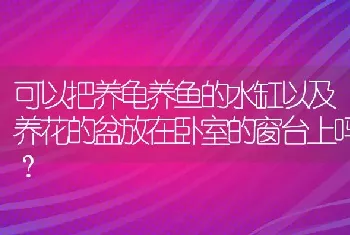 可以把养龟养鱼的水缸以及养花的盆放在卧室的窗台上吗？