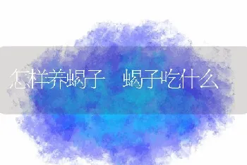 怎样养蝎子 蝎子吃什么