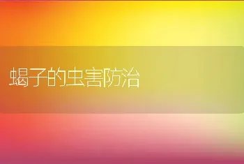 蝎子的虫害防治