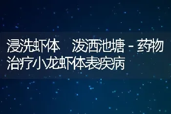 浸洗虾体　泼洒池塘－药物治疗小龙虾体表疾病