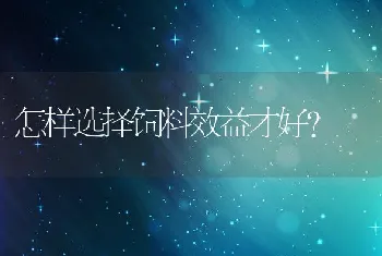 白头翁防治兔球虫病