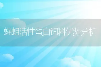 蝇蛆活性蛋白饲料优势分析