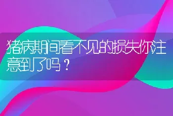 猪病期间看不见的损失你注意到了吗？