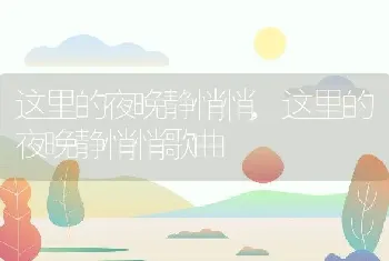 这里的夜晚静悄悄，这里的夜晚静悄悄歌曲