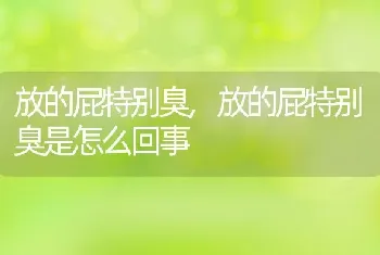 放的屁特别臭，放的屁特别臭是怎么回事