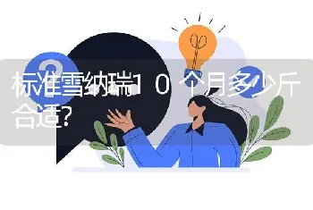 标准雪纳瑞10个月多少斤合适？