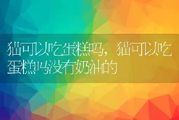 新手养什么狗比较好，新手养什么狗比较好中型犬