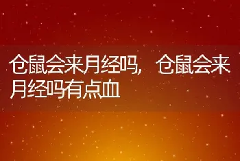 仓鼠会来月经吗，仓鼠会来月经吗有点血