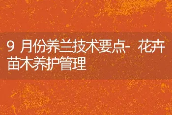 9月份养兰技术要点-花卉苗木养护管理