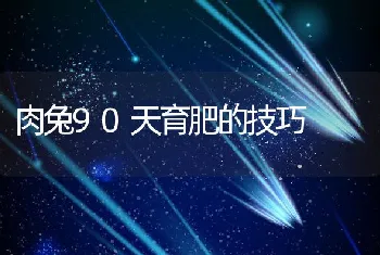 哺乳期仔猪死亡原因及控制策略