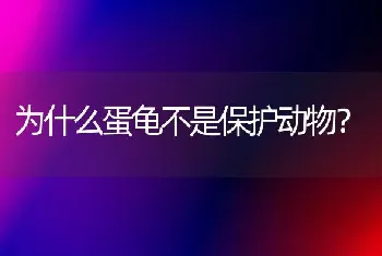 为什么蛋龟不是保护动物？