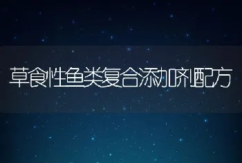 种母兔的饲养管理技术