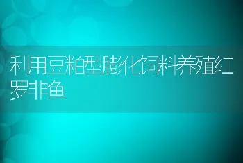 利用豆粕型膨化饲料养殖红罗非鱼