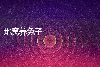 地窝养兔子