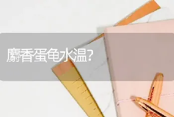 麝香蛋龟水温？