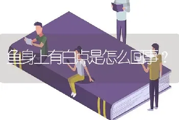 鱼身上有白点是怎么回事？