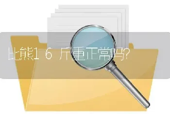 比熊16斤重正常吗？