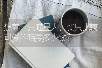 想养一只喵星人，买只比较可爱的喵要多少钱？