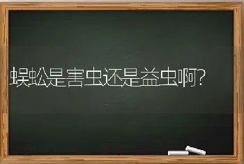 六个月柯基一天喂几次狗粮？