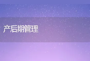 产后期管理