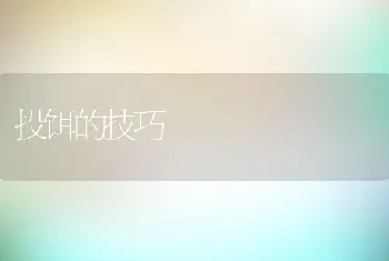 投饵的技巧