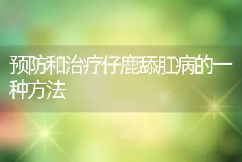 预防和治疗仔鹿舔肛病的一种方法