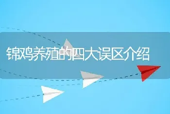 锦鸡养殖的四大误区介绍