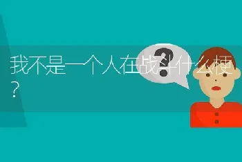 我不是一个人在战斗什么梗？