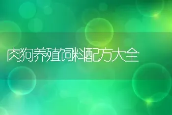 肉狗养殖饲料配方大全