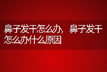 鼻子发干怎么办，鼻子发干怎么办什么原因