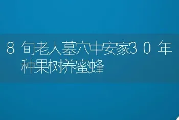 8旬老人墓穴中安家30年 种果树养蜜蜂