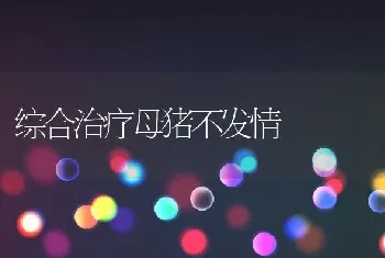 综合治疗母猪不发情