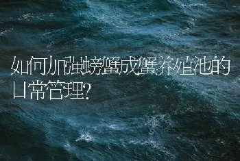 如何加强螃蟹成蟹养殖池的日常管理？