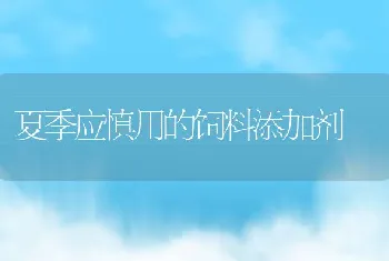 绿色獭兔疫病防治技术