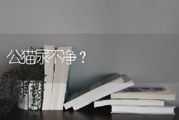 公猫尿不净？