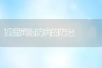 狐狸黄脂肪病的防治