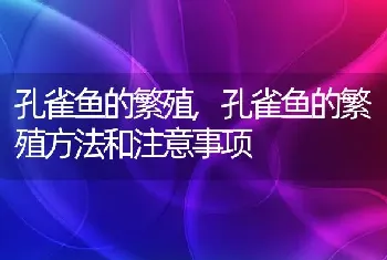 孔雀鱼的繁殖，孔雀鱼的繁殖方法和注意事项