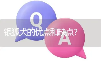 银狐犬的优点和缺点？