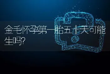 金毛怀孕第一胎五十天可能生吗？