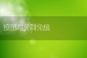 疫苗与兔群兔瘟