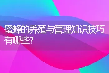 蜜蜂的养殖与管理知识技巧有哪些？