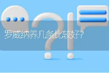 罗威纳养几条比较好？