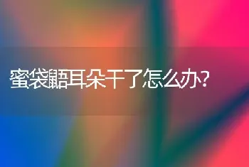 狗狗怀孕50天今天排出黑绿色物体下午产下两个死胎怎么回事？