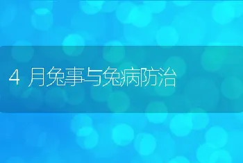 4月兔事与兔病防治