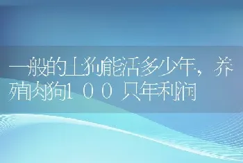 霸王龙的生活习性，霸王龙的特征及生活环境