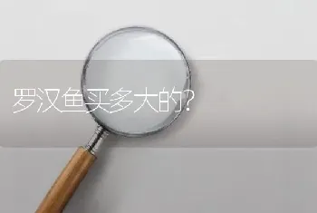 罗汉鱼买多大的？