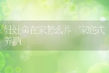 娃娃鱼在家怎么养 家庭式养殖